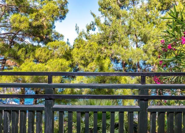 Club Marmaris Palace Bungalov Standart Oda galeri görseli 6